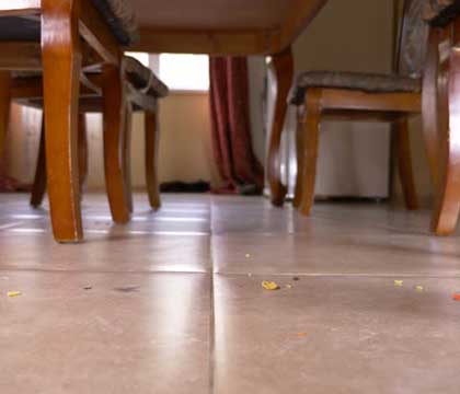 normal-dust-on-kitchen-floor