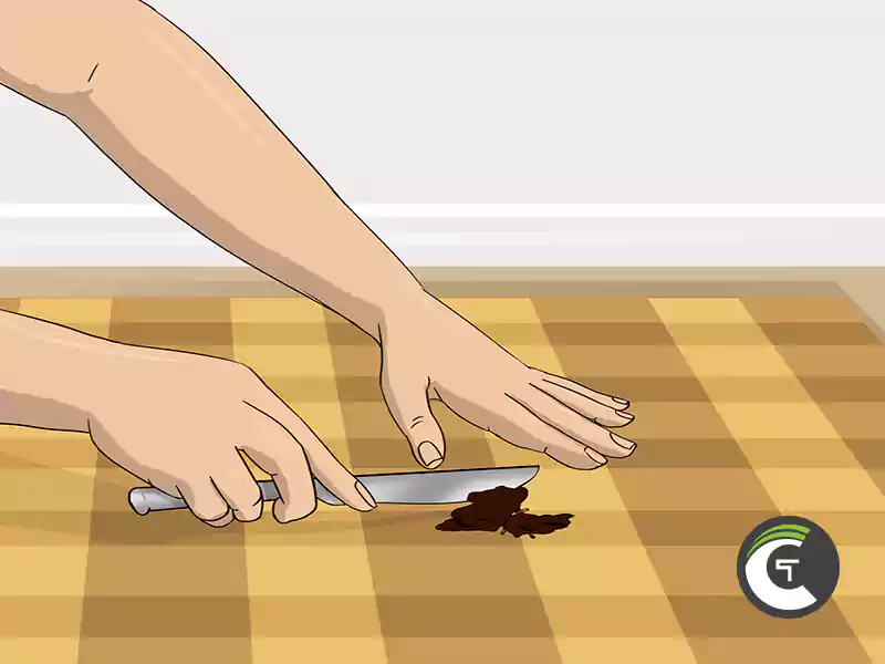 how to get chocolate out of carpet step 1