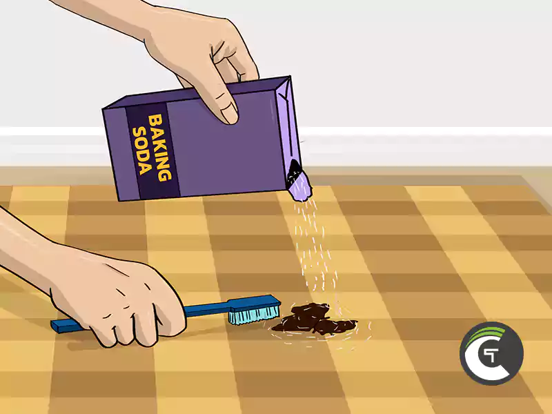 how to get chocolate out of carpet step 3