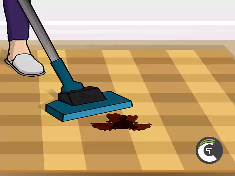 how to get chocolate out of carpet step 9